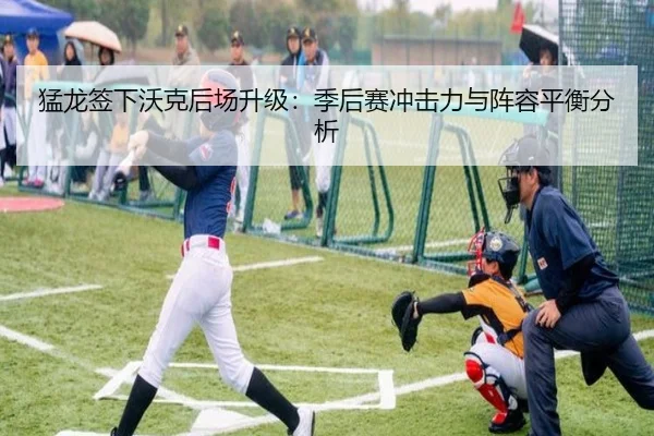 猛龙签下沃克后场升级：季后赛冲击力与阵容平衡分析